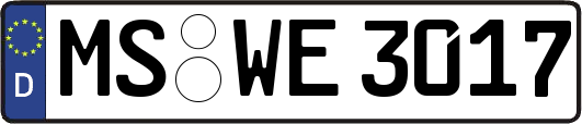 MS-WE3017
