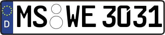 MS-WE3031