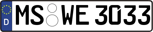 MS-WE3033