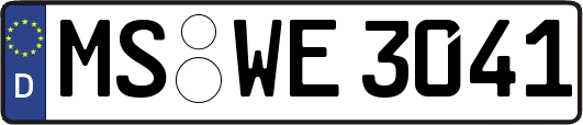MS-WE3041