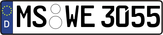 MS-WE3055