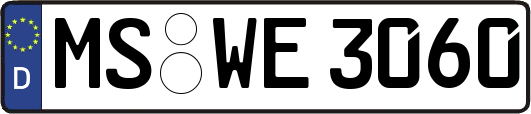 MS-WE3060