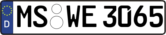MS-WE3065