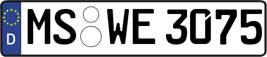 MS-WE3075