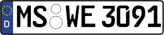MS-WE3091