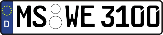 MS-WE3100