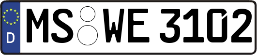 MS-WE3102