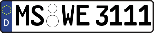 MS-WE3111