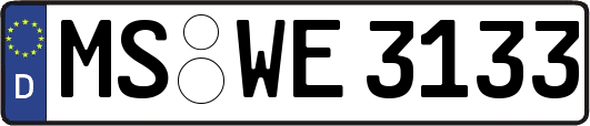 MS-WE3133