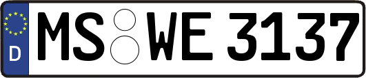 MS-WE3137