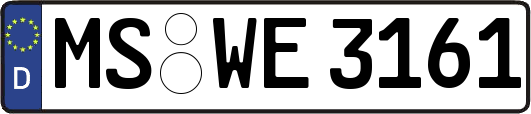 MS-WE3161