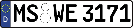 MS-WE3171