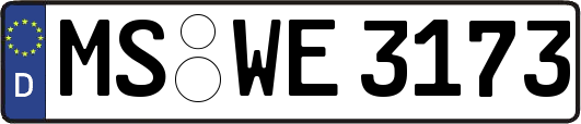 MS-WE3173