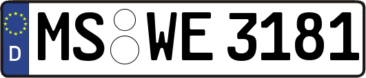 MS-WE3181