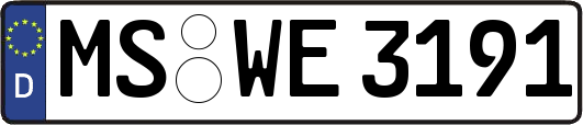 MS-WE3191