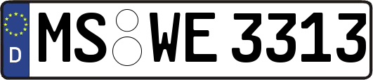 MS-WE3313