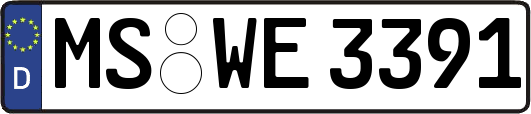 MS-WE3391