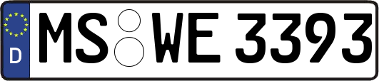 MS-WE3393