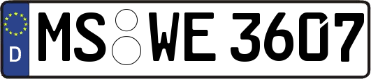 MS-WE3607