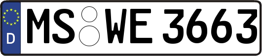 MS-WE3663