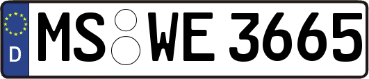 MS-WE3665