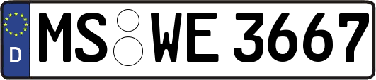MS-WE3667