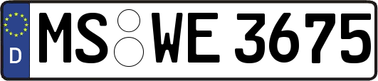 MS-WE3675