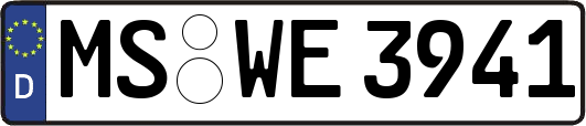 MS-WE3941