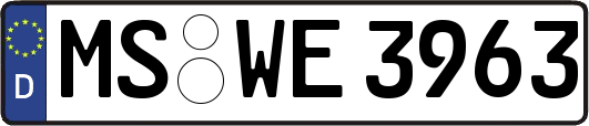 MS-WE3963