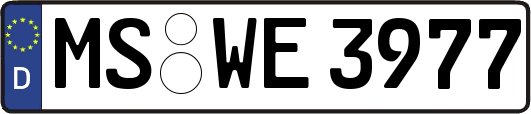 MS-WE3977