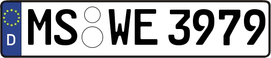 MS-WE3979