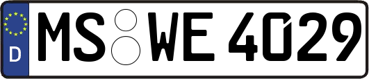 MS-WE4029