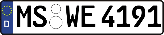 MS-WE4191