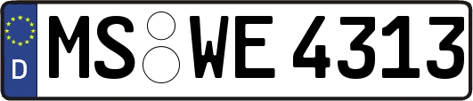 MS-WE4313