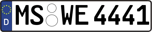 MS-WE4441