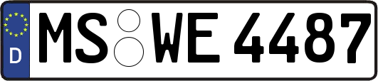 MS-WE4487