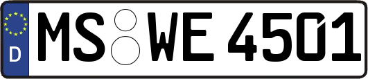 MS-WE4501