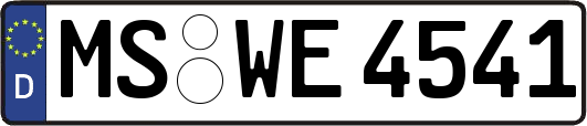 MS-WE4541