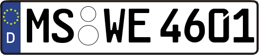 MS-WE4601