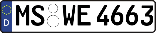 MS-WE4663