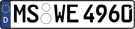MS-WE4960