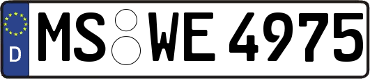 MS-WE4975