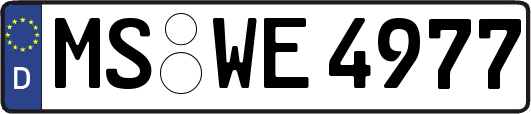 MS-WE4977