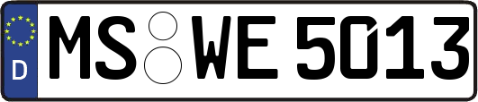 MS-WE5013