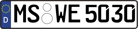 MS-WE5030