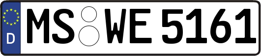 MS-WE5161