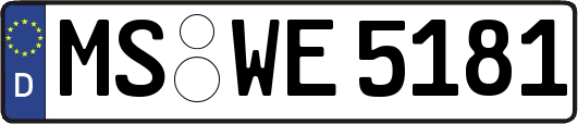 MS-WE5181