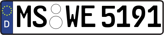 MS-WE5191