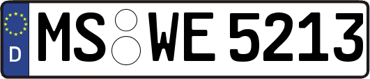 MS-WE5213