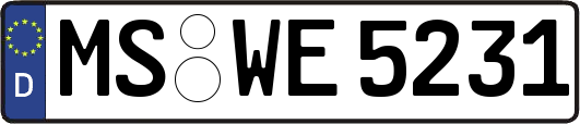 MS-WE5231